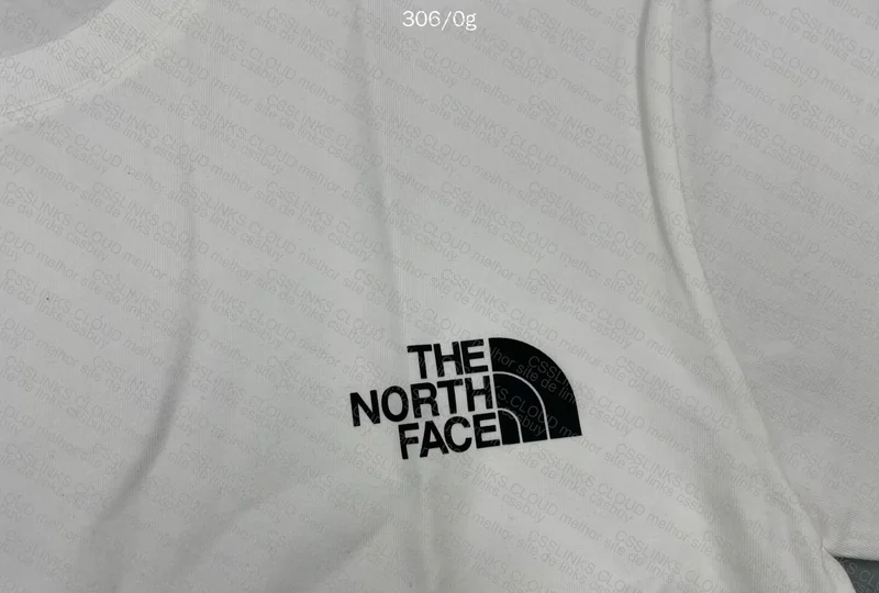 The North Face TNF T-shirt 2