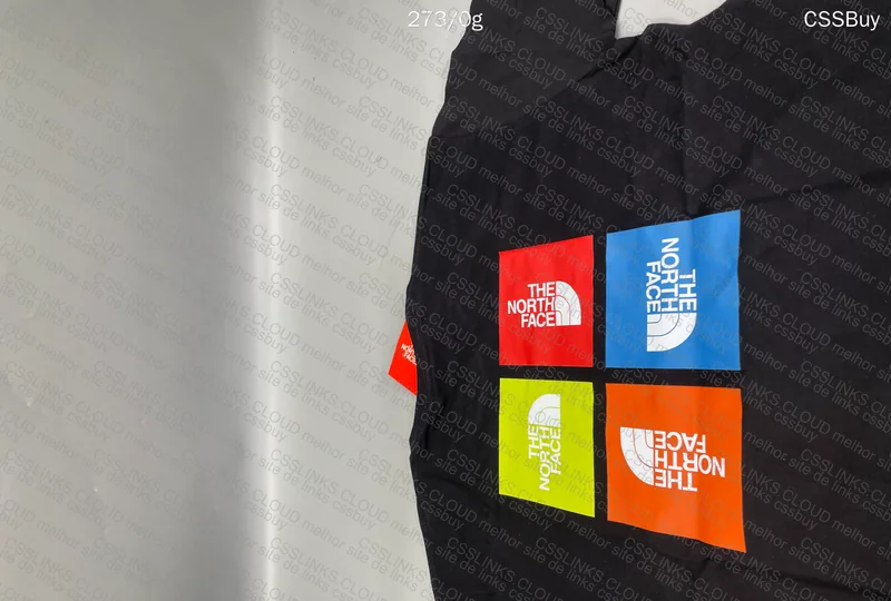 The North Face T-shirt 2