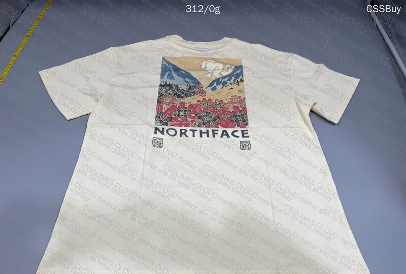 The North Face T-shirt 2