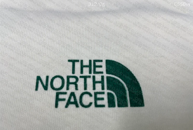 The North Face T-shirt 3