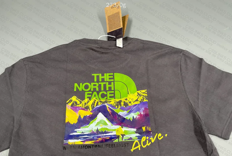 The North Face T-shirt