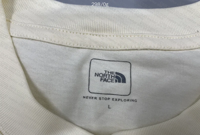 The North Face T-shirt 2