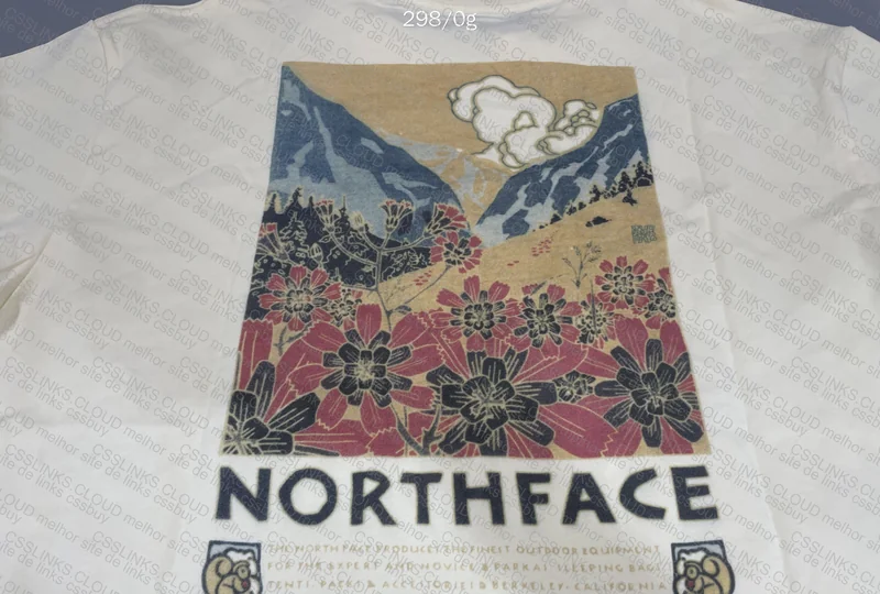 The North Face T-shirt 4