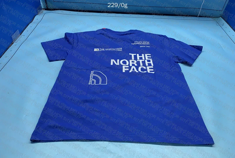 The North Face T-shirt 2