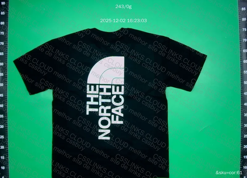Camiseta The North Face 2