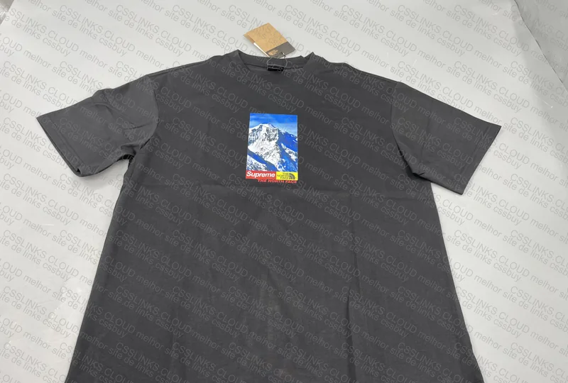 The North Face x Supreme T-Shirt