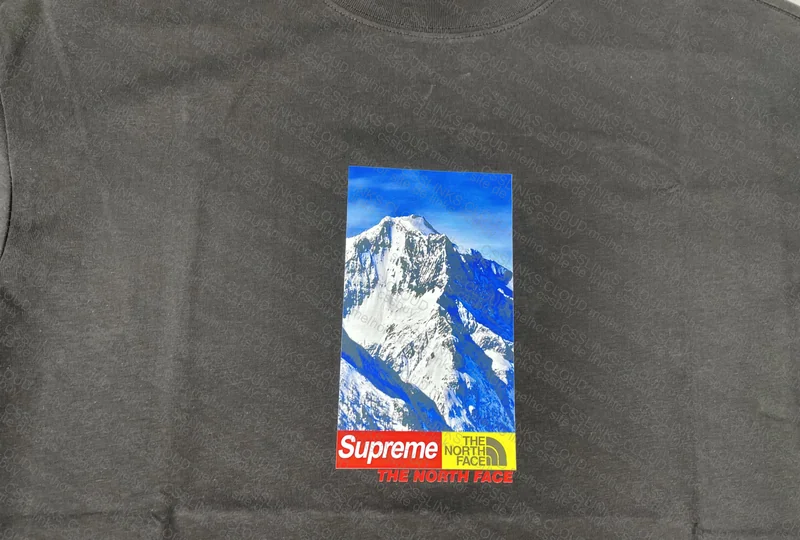 The North Face x Supreme T-Shirt 2