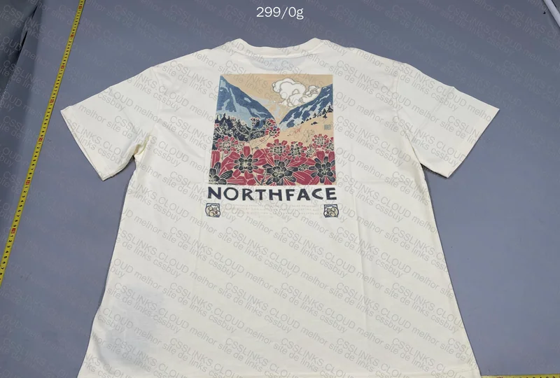 TNF T-Shirt (With Measurements)