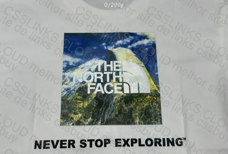 TNF T-Shirt (GL?) 4