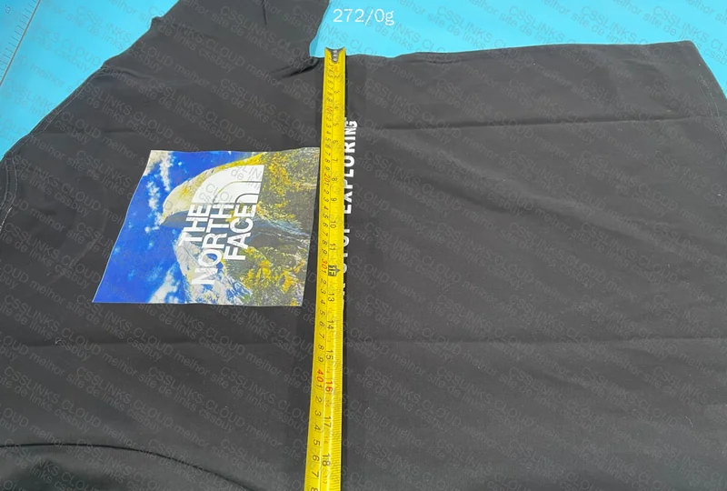 TNF T-Shirt (The North Face) 3