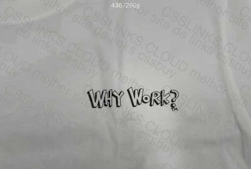 Why Work? T-Shirt 3