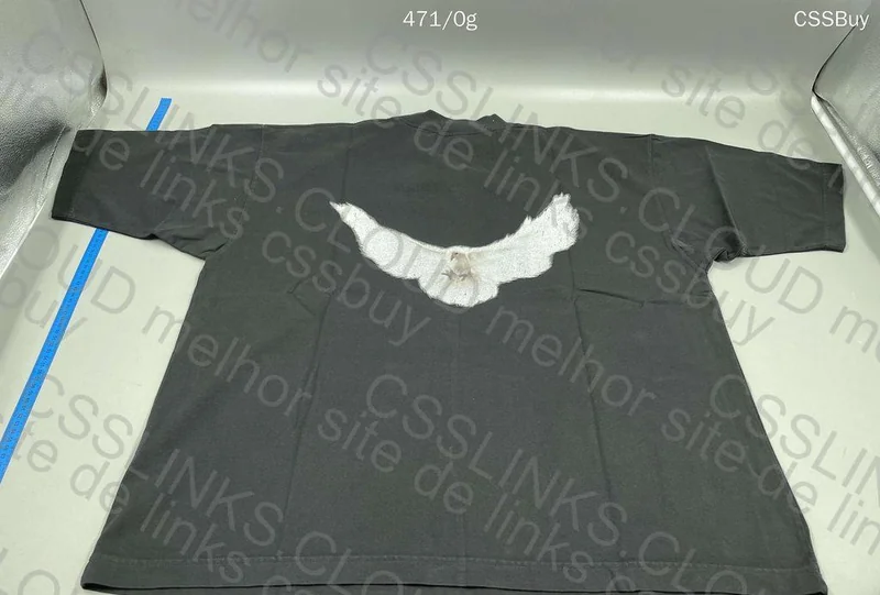 Yeezy Gap T-Shirt and Balenciaga Pants 4