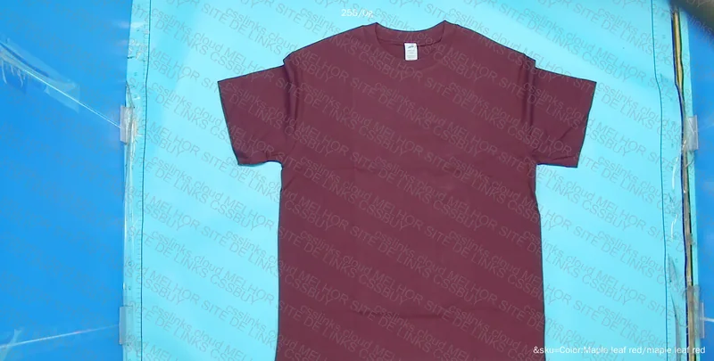 Basic T-Shirts 2