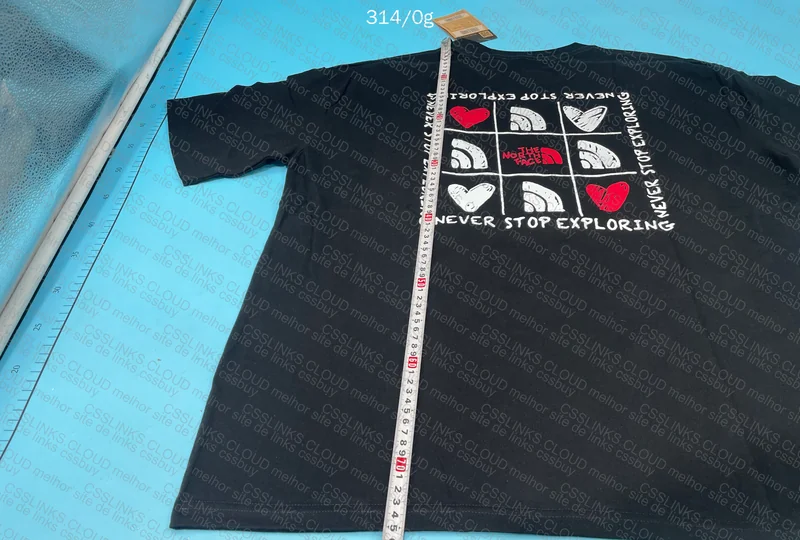 The North Face T-Shirts 2