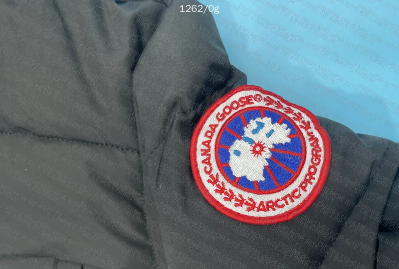 Canada goose 3
