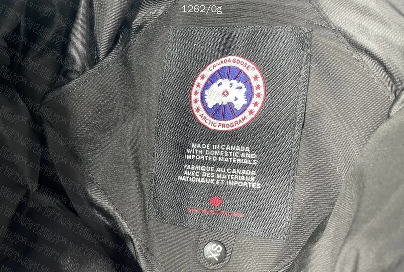 Canada goose 4
