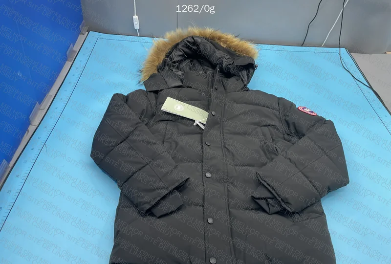 Canada goose 5