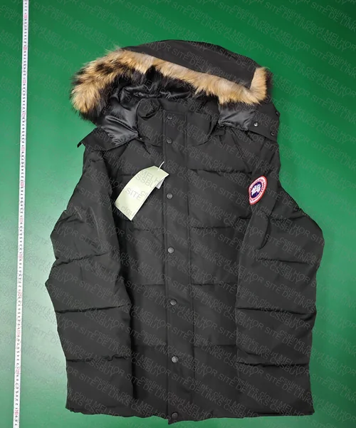 Canada Goose 2