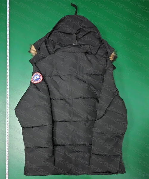 Canada Goose 3