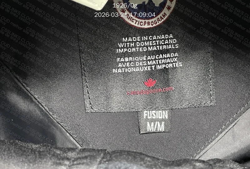 Canadá goose 2