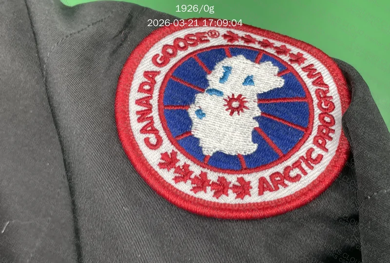 Canadá goose 5