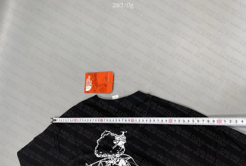Caniseta TNF 2