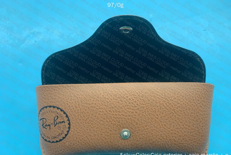 Rayban Glasses Case