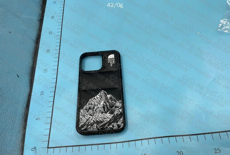 iPhone The North Face Cover - Did CSS give me the ring? 5