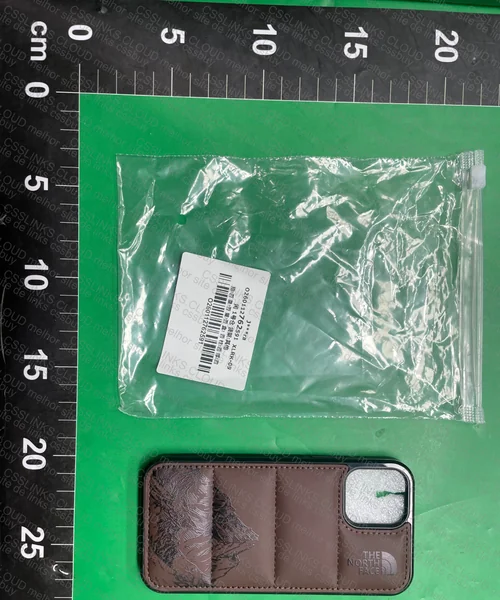 Capa para IPhone 12 The North Face 2