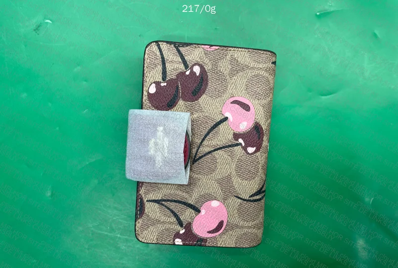 Coach Wallet for Girl 3