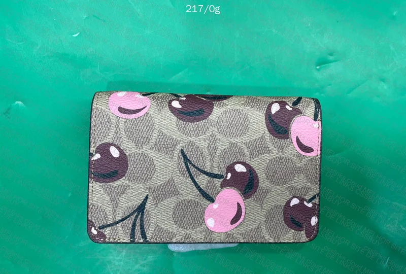 Coach Wallet for Girl 4