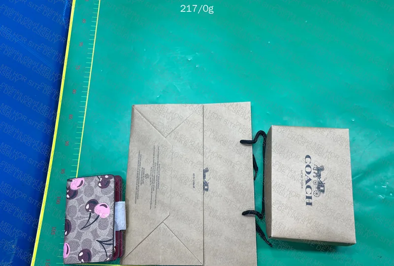 Coach Wallet for Girl 5