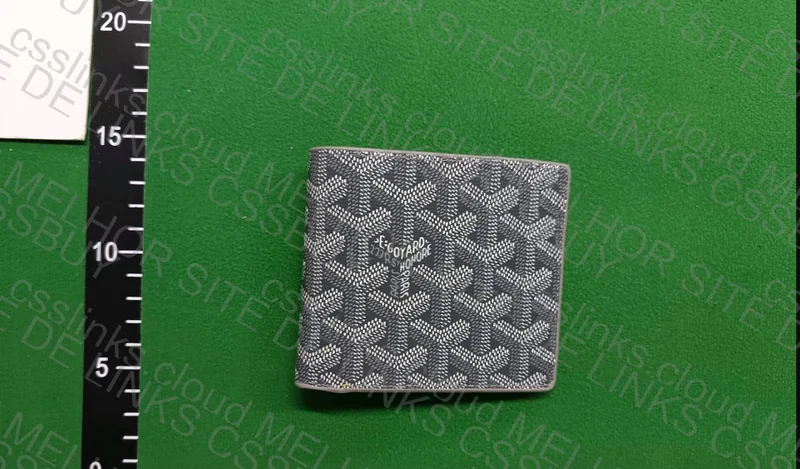 Goyard Wallet 2