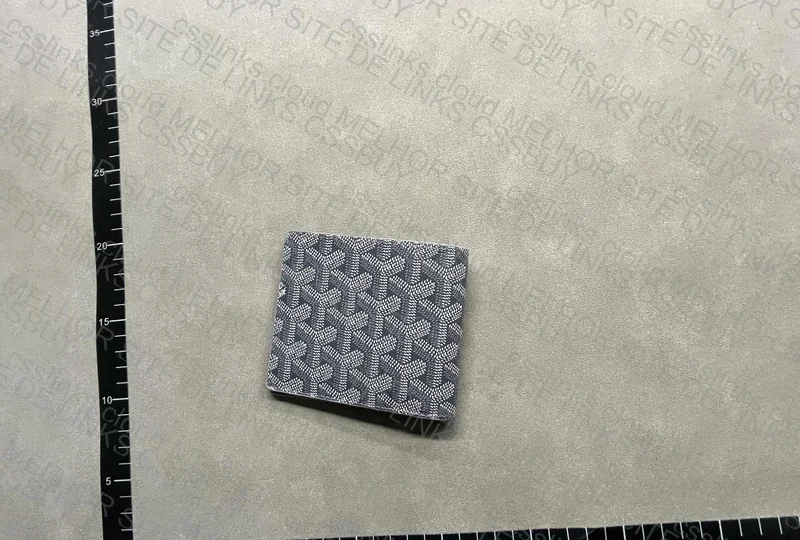 Goyard Wallet 2