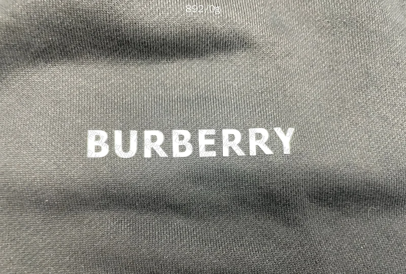 Burberry Coat 3