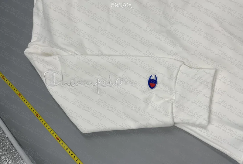 Champions Hoodie 2