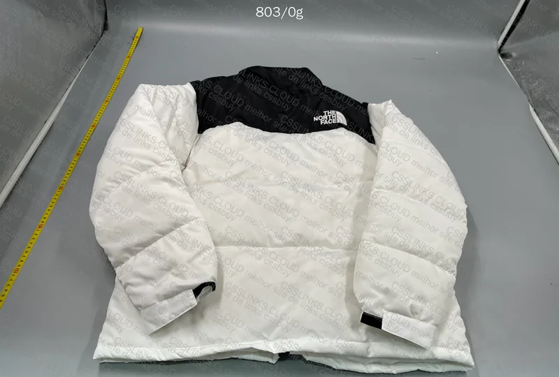 NorthFace Jacket 4