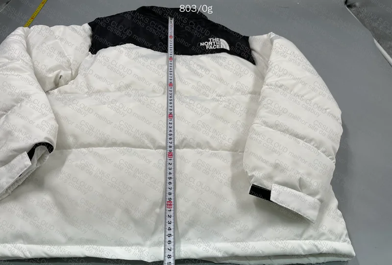 NorthFace Jacket 5