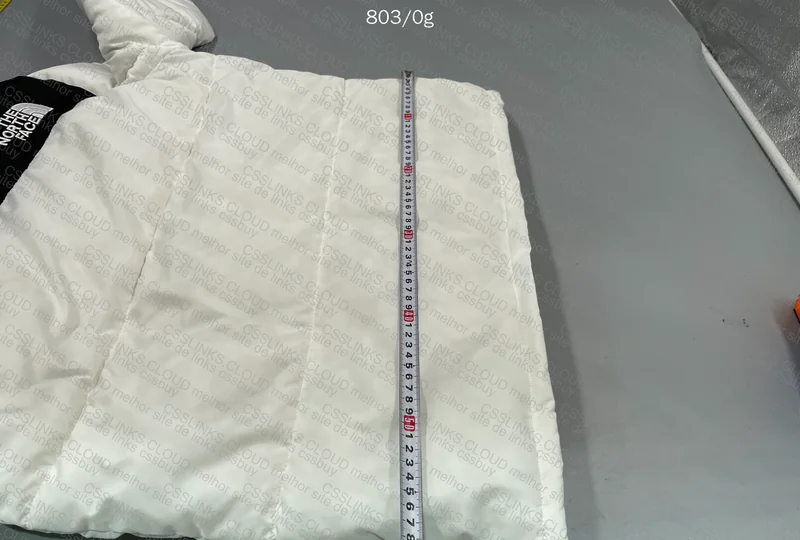 NorthFace Jacket 6