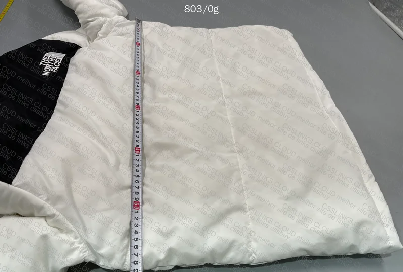 NorthFace Jacket 7