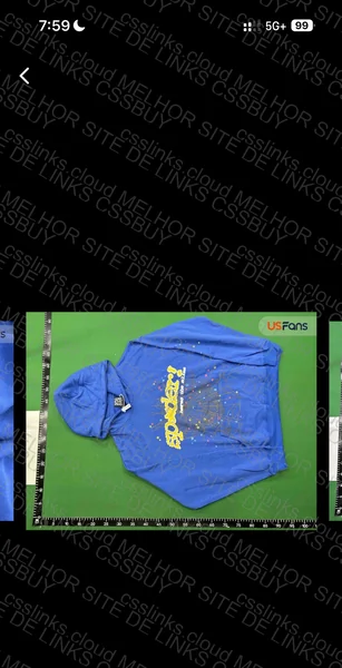 Spider Blue Coat 2
