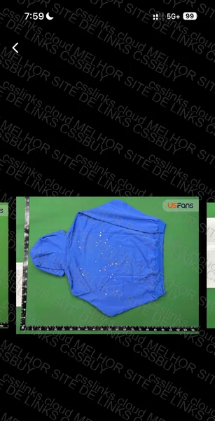 Spider Blue Coat 3