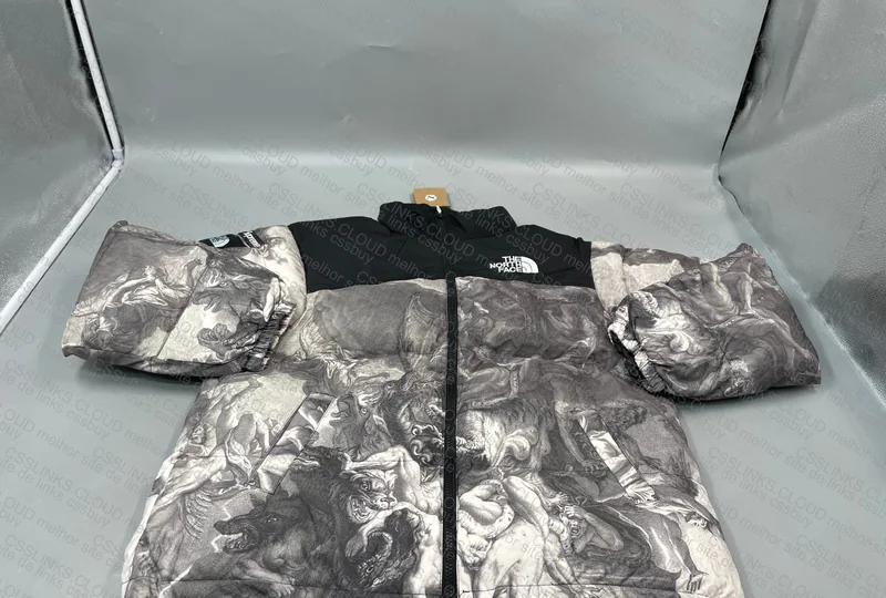Supreme x TNF Coat (Insane)