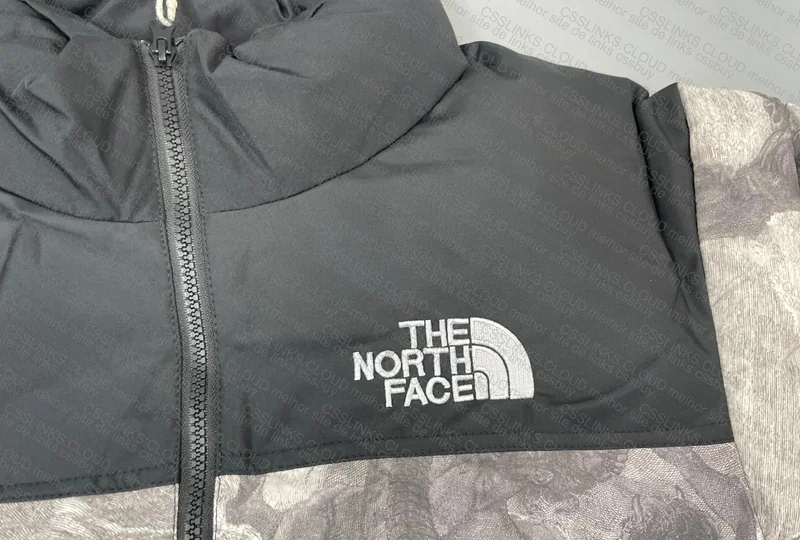 Supreme x TNF Coat (Insane) 2