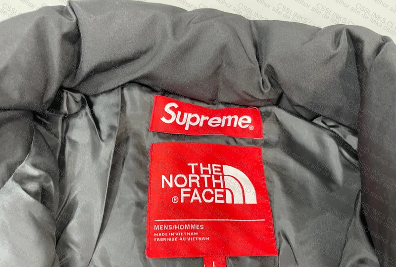 Supreme x TNF Coat (Insane) 3
