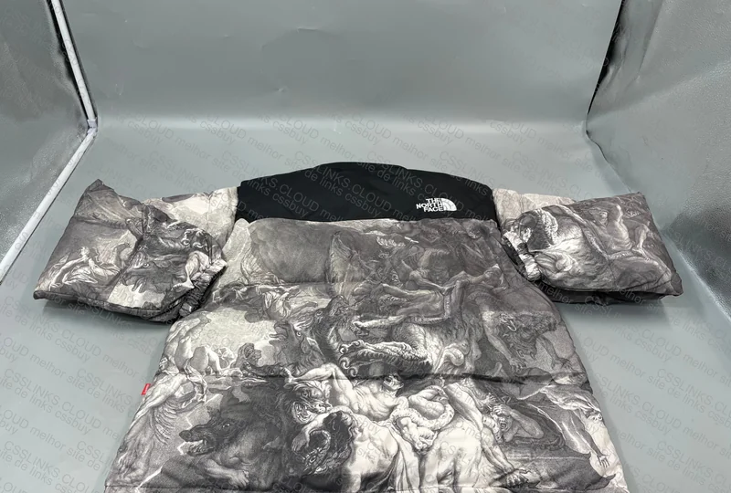 Supreme x TNF Coat (Insane) 5
