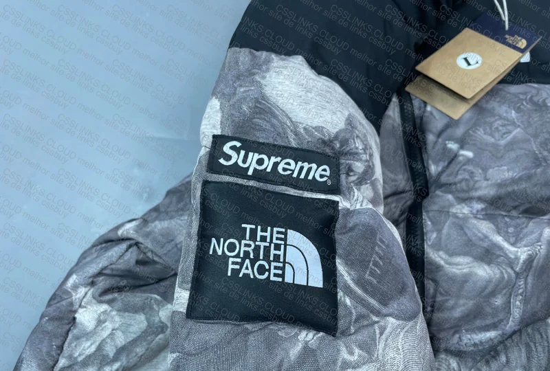 Supreme x TNF Coat (Insane) 6