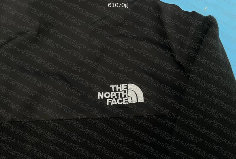 The North Face Jacket