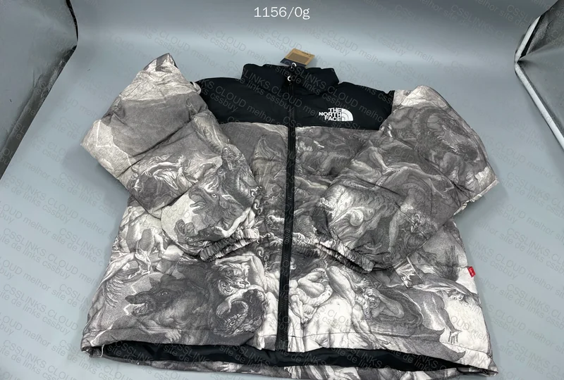 The North Face x Supreme Jacket 3