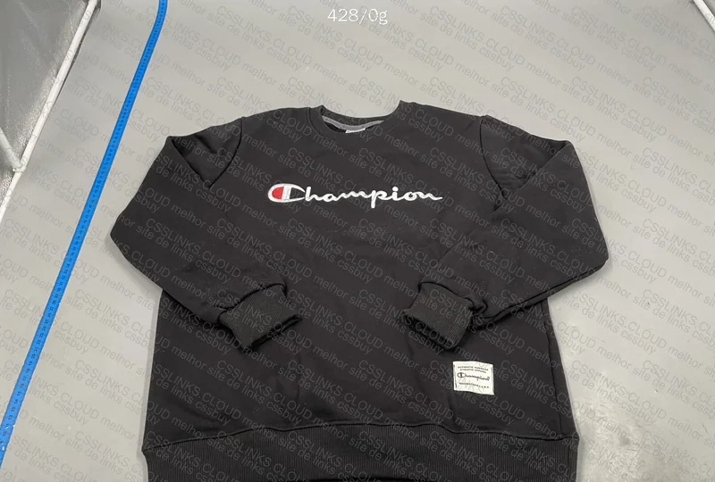 Champion x the north face